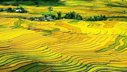 【立秋】葉落知秋，豐收正當(dāng)時(shí)